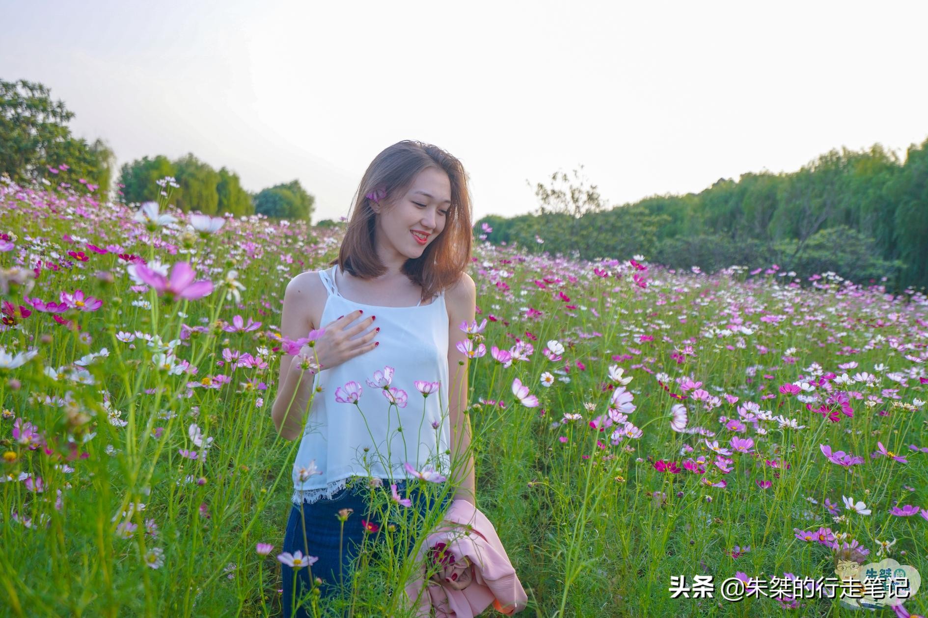 苏州太湖第一岛简介,苏州太湖原生态小岛