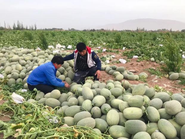 双11各大品牌各大电商有什么亮点,双11走进第13年阿里的价值如何看