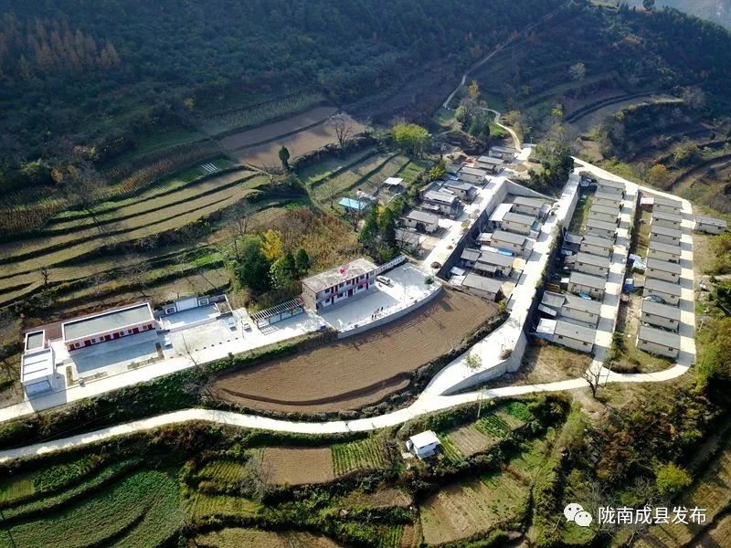 我叫成县，这是我2019年的自拍照~