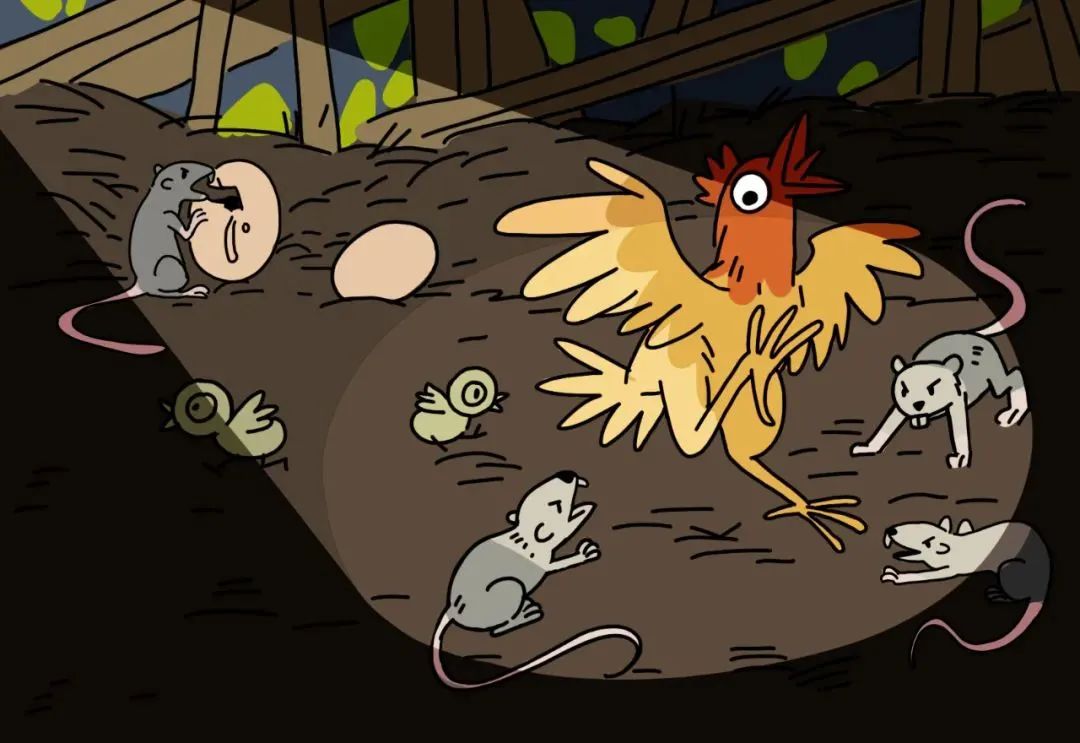 观往知来的含义,一封寄到西沙的信