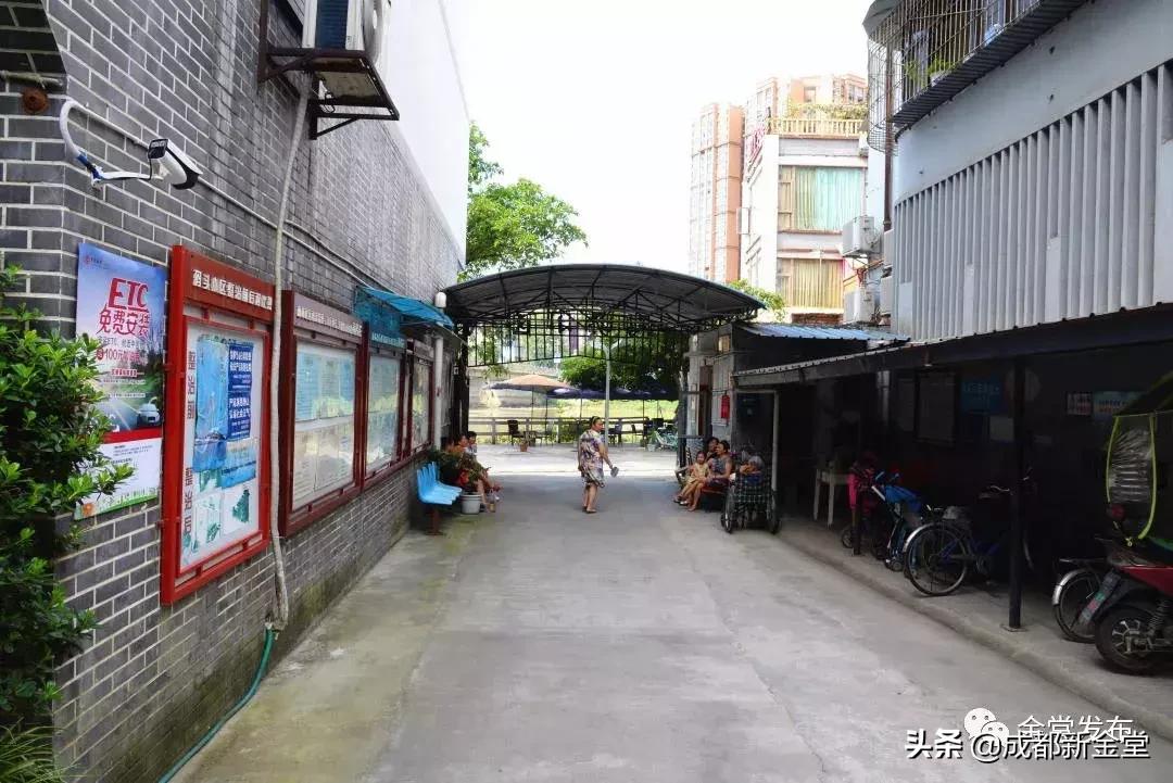 成都金堂服务员,金堂县装修师傅