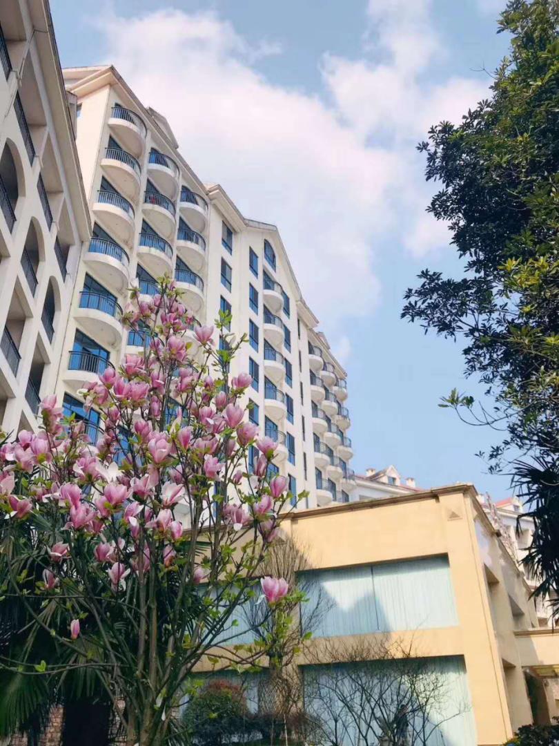 10元钱，住一晚四星级酒店，吃三顿自助餐，它不香吗？