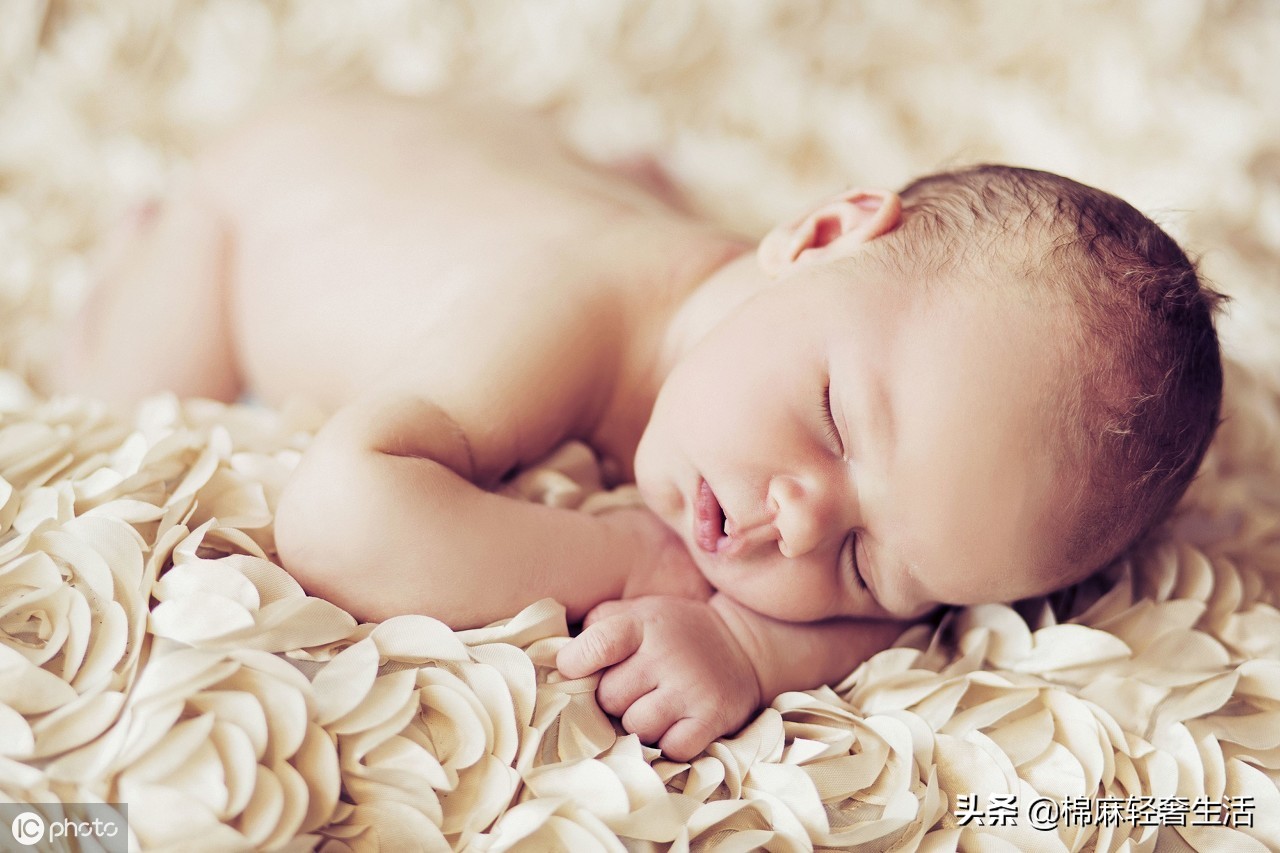 麻棉君の生活百科—鱼是不会睡觉的么？