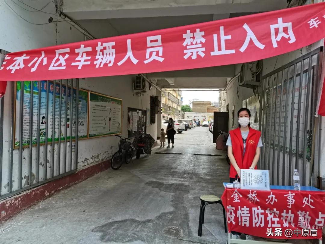 河南大学生志愿者出征,河南大学生志愿服务