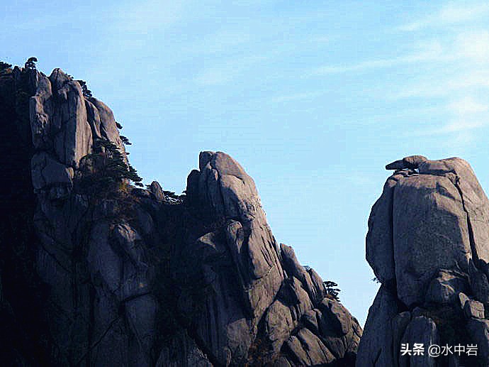 黄山的十大奇松介绍,黄山七十二峰