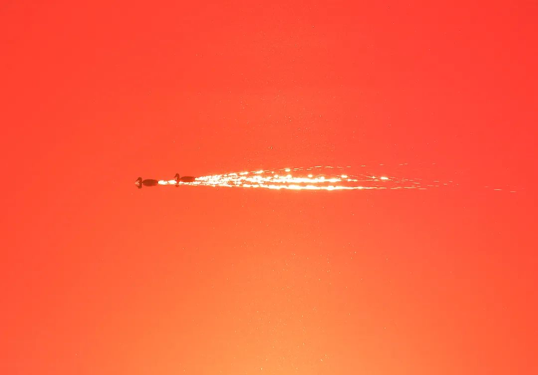 香港第14届全国摄影艺术展,第29届全国摄影艺术展览获奖名单