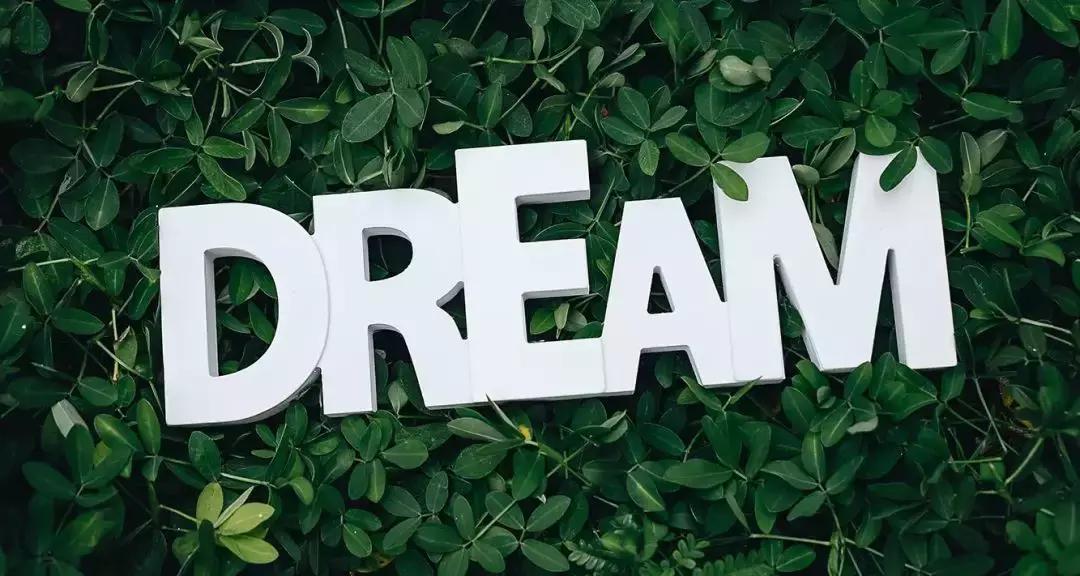 风险来临时，背负的房贷、车贷怎么办？