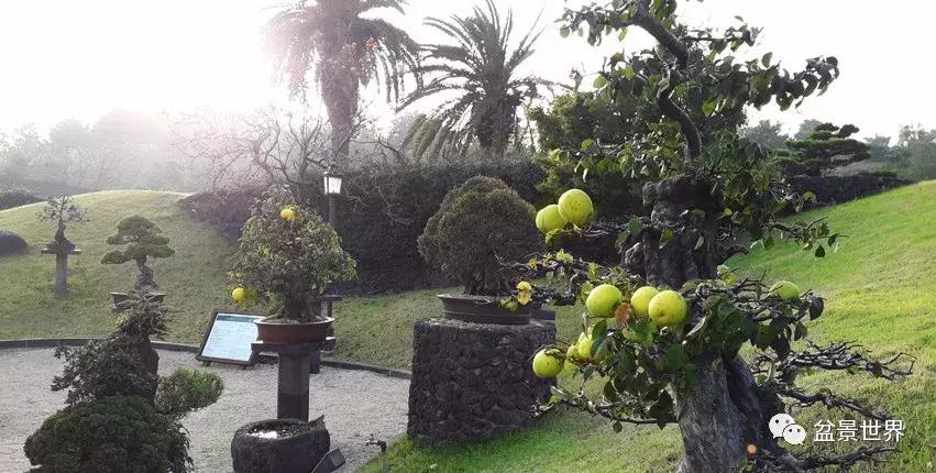 走进韩国思索之苑，这里算得上世界最美的庭园吗