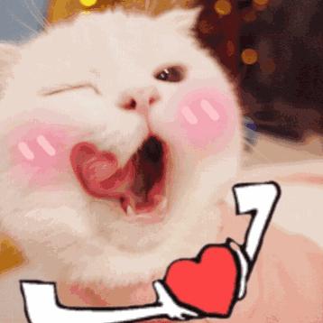 学生党平价精华推荐,平价修复精华学生党50以内