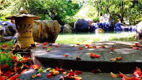 昆明七日游旅游路线推荐攻略大全,昆明欢乐三天两夜旅游攻略