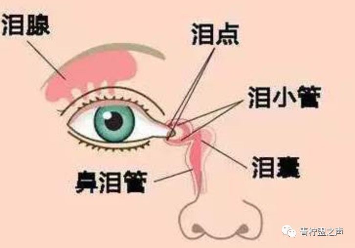 新型病毒肺炎防治科普,关于新型冠状病毒肺炎的科普