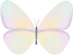 郑州二环内洋房区哪里好,郑州二环内的洋房