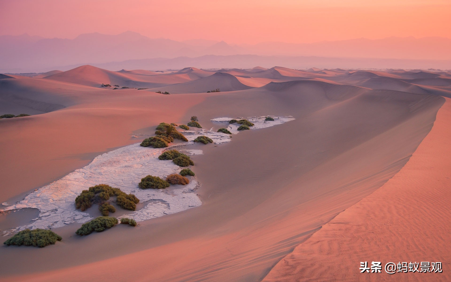 电影蒙太奇的理解,蒙太奇知识