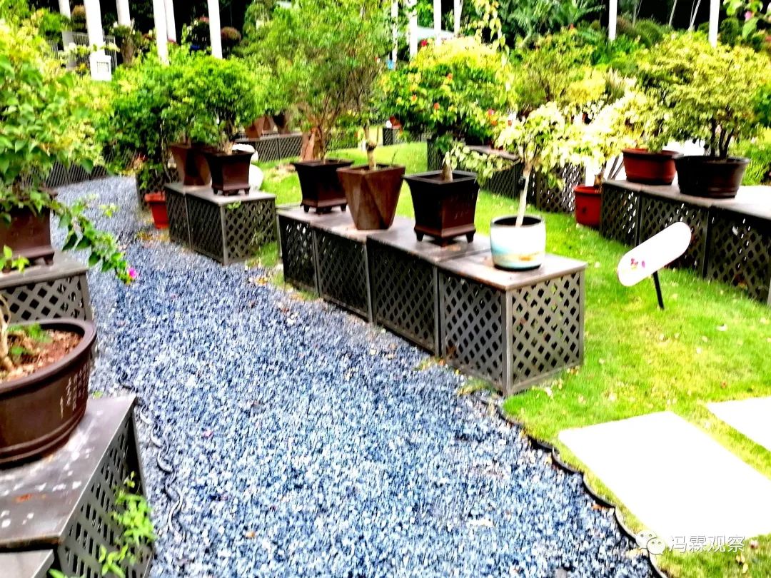 连载（12）：从清茶中飘出来的悠美短文！（文化观察之126）