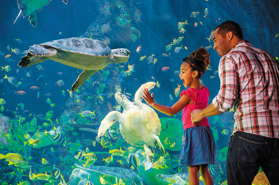 享受迈阿密的夏日与海风,享受佛罗里达式的生活