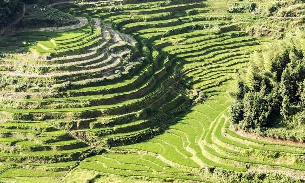 收藏备用军事地形学（简）——假装看懂*用军**地图