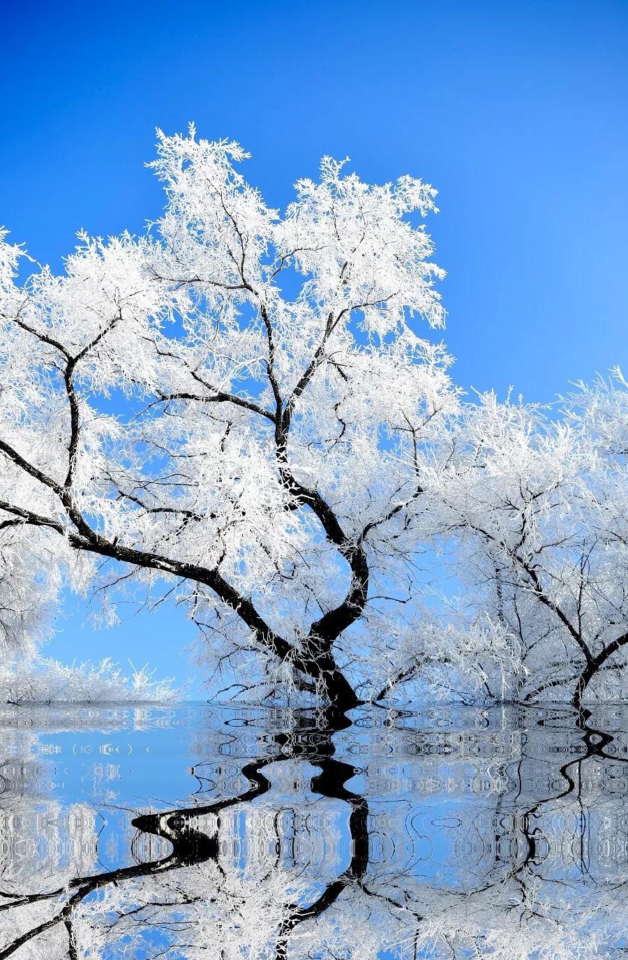 不忽悠！“拔草”这些小村屯才不辜负这个冬天