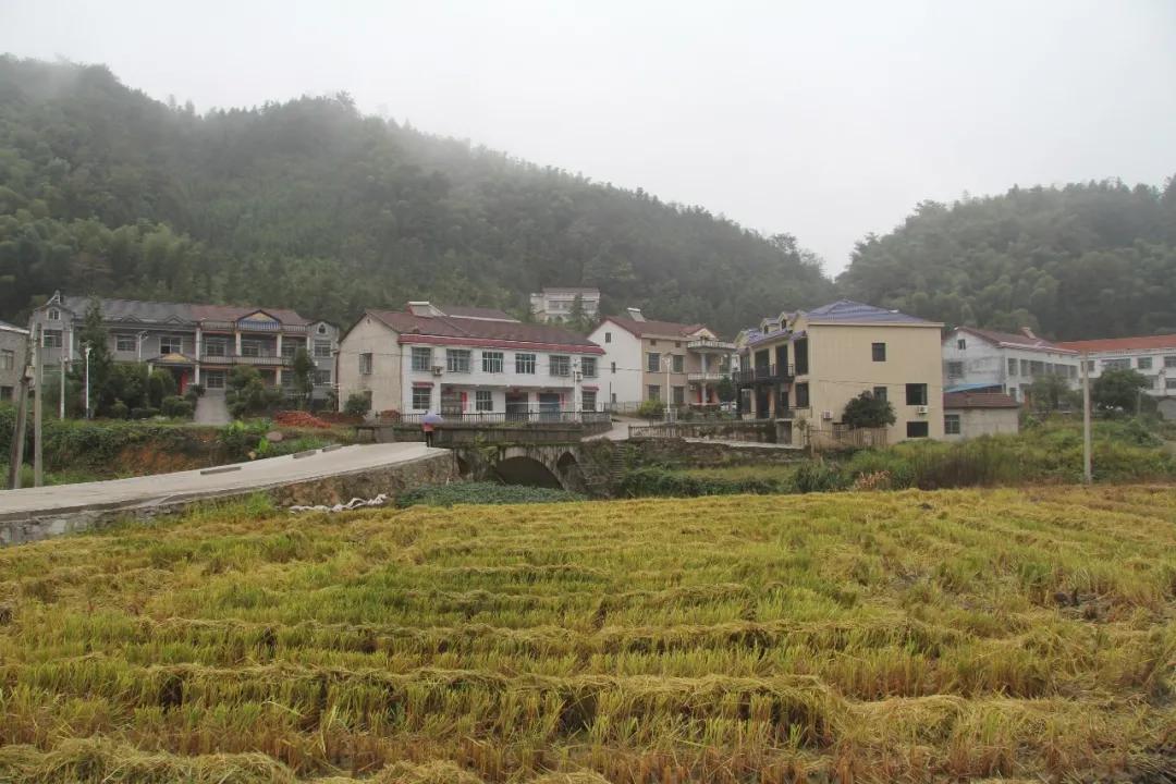 当一个人开始怀念童年,人越长大越容易怀念过去