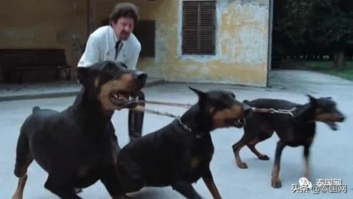 泰国市中心五星酒店推荐,曼谷性价比最高的5星级酒店