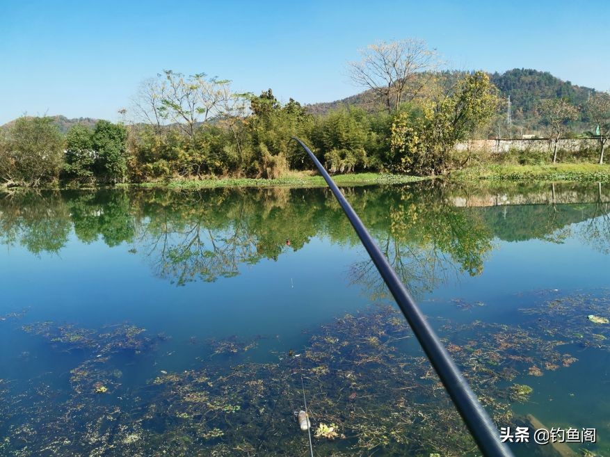 野钓钓鱼找鱼层的正确方法,钓鱼请三思而后行