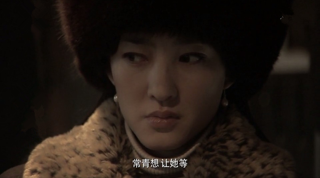 王丽坤比较好的电视剧有哪些,王丽坤最经典的电视剧