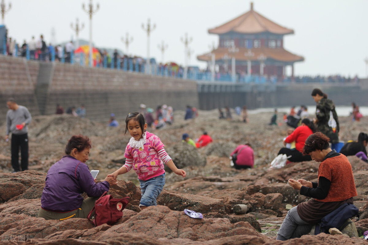青岛看海赶海攻略,青岛夏天免费赶海圣地