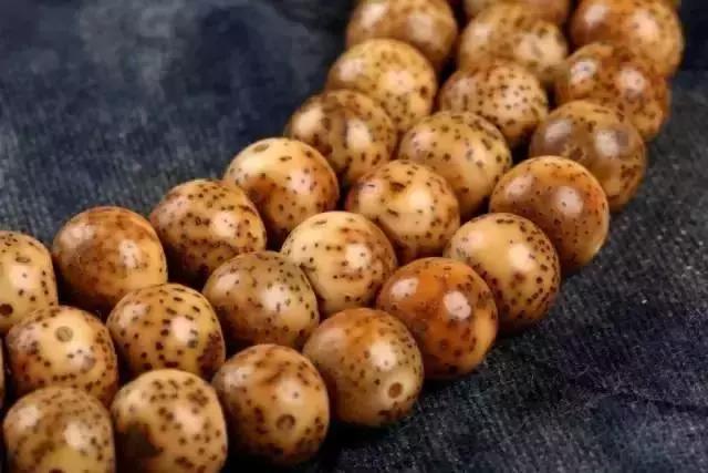 值得盘玩的几种星月,星月各种品种玩出来的区别