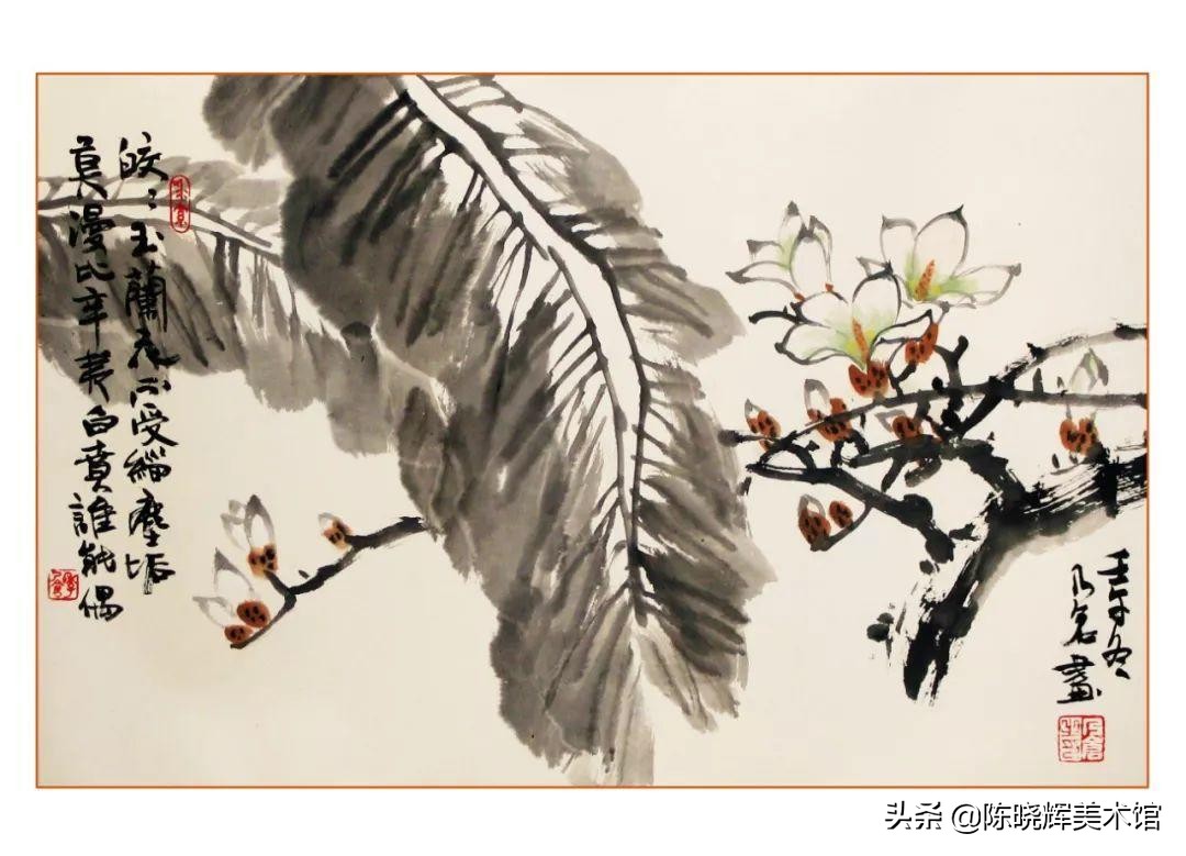 国画芭蕉教学设计,写意芭蕉的画法步骤