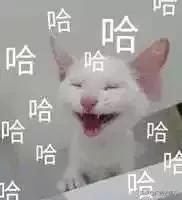 深圳高铁4个小时可到的旅游城市,深圳出发最美的短途高铁