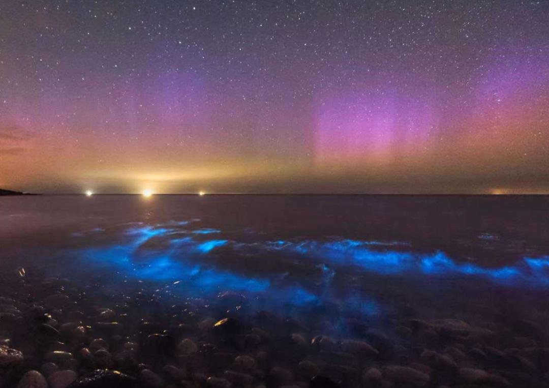 沙爽的活着写作背景,沙爽作品