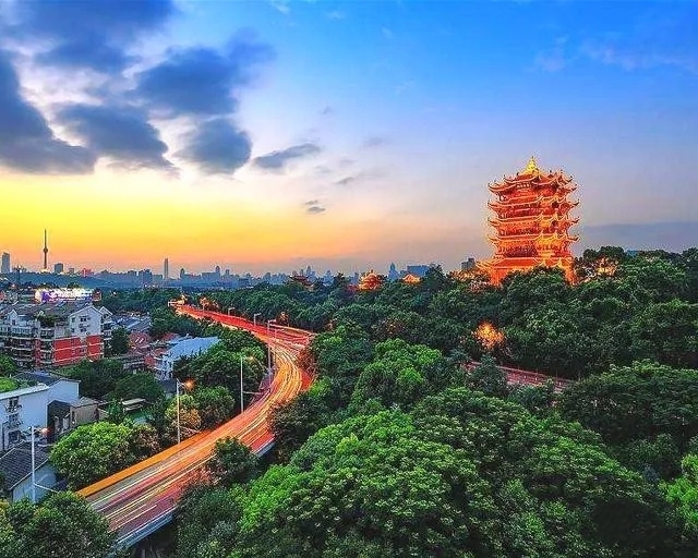 中国九头鸟之谜超出常规的九头鸟,天上九头鸟地上九头鸟来源