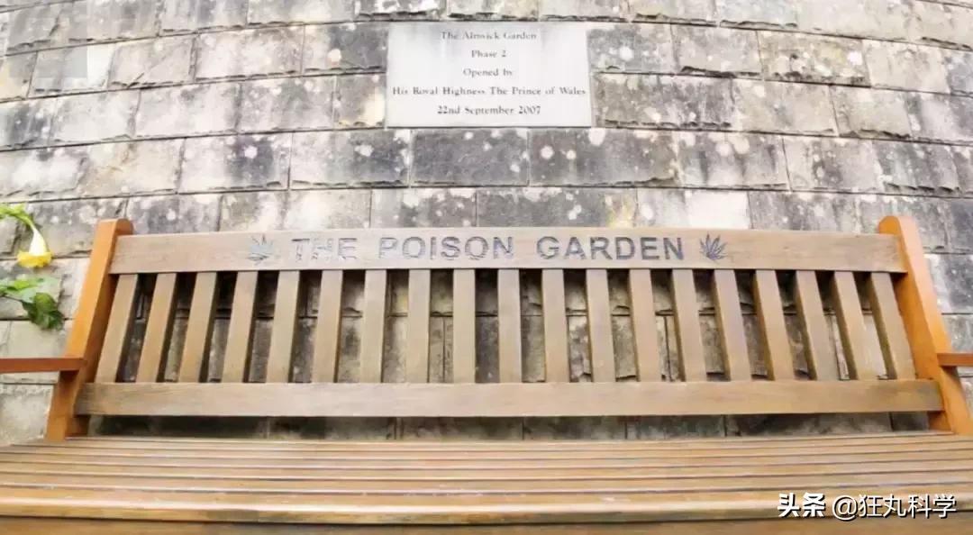 世上最毒的花园,最毒的花园有多可怕