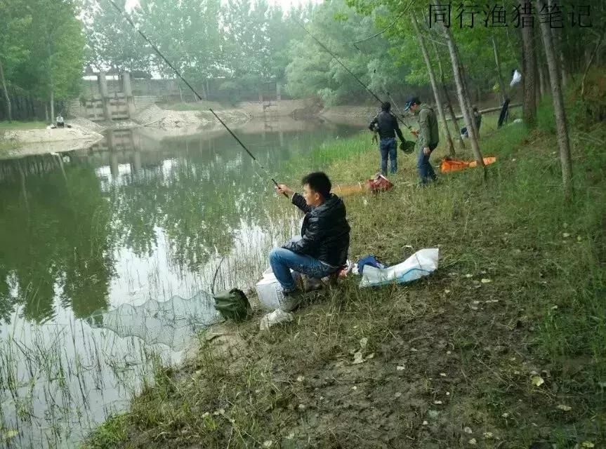 钓鱼记录2019,最新的钓鱼日记