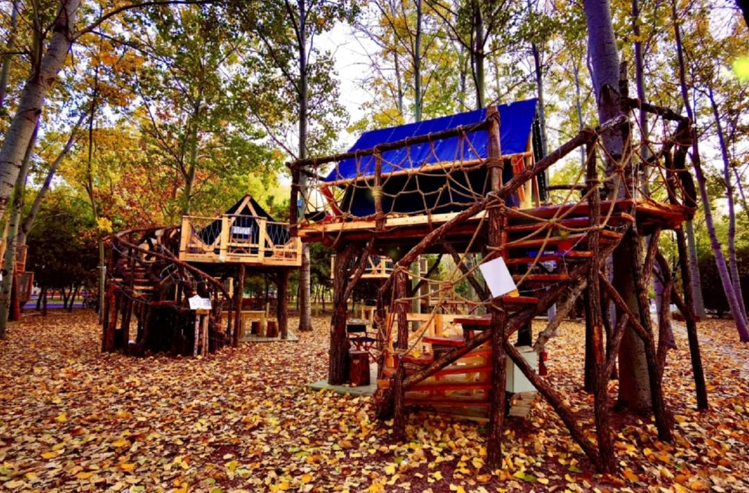 自驾“圣诞红”昂科拉寻找北京最有圣诞味儿的打卡点