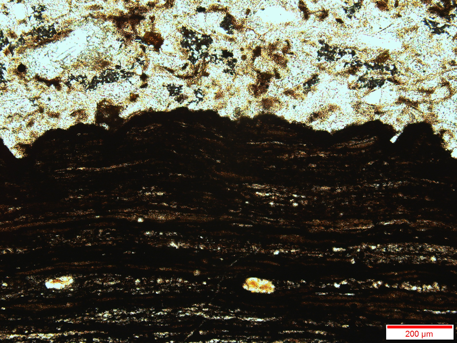 河北华北油田在哪里,河北石油分布图
