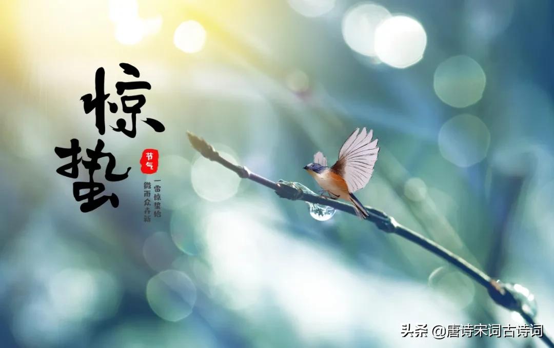 微雨众卉新一雷惊蛰始朗诵,微雨众卉新一雷惊蛰始读音