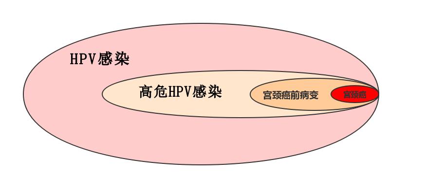 一年前查的宫颈癌筛查没问题,去年检查hpv正常今年会得宫颈癌吗