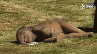 他们被杀之后，依然在爱你