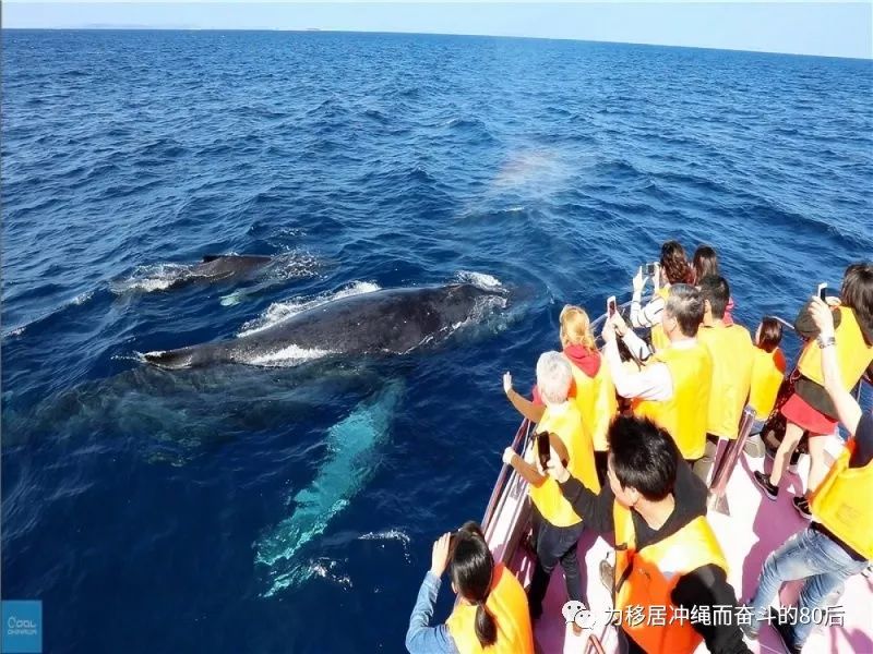 12月份冲绳攻略,想定居日本冲绳怎么样