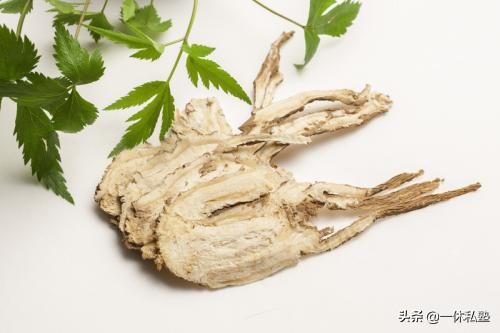 养血滋阴的茶有哪些,滋阴养血的茶都有什么呢