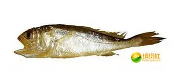 舟山4月份海鲜攻略,舟山海鲜代加工攻略