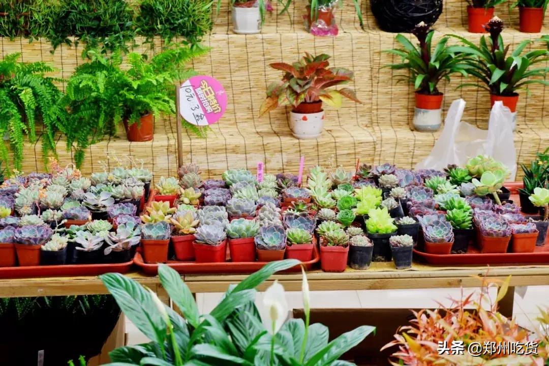 郑州哪个批发市场最便宜,最新最全郑州批发市场一览表