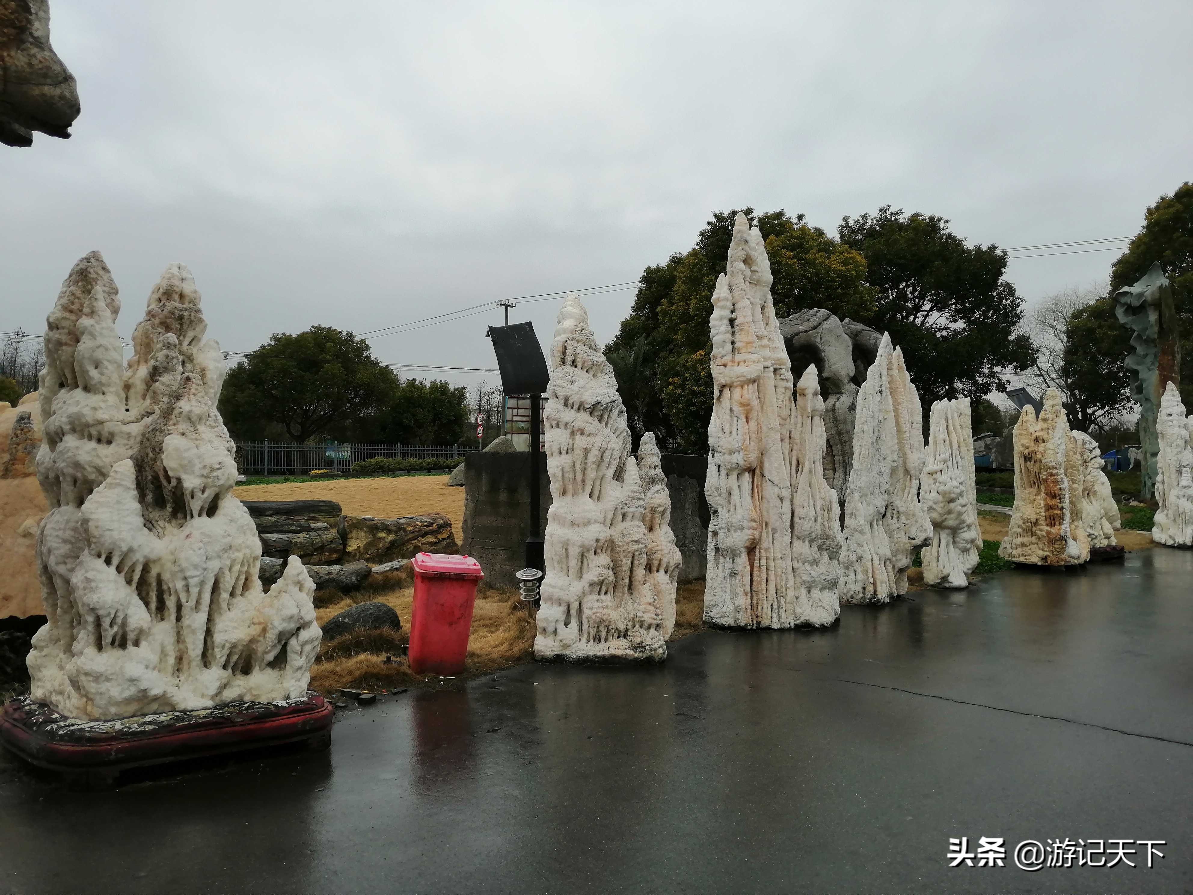 参观上海东方地质科普馆,上海东方地质科普馆需要预约吗