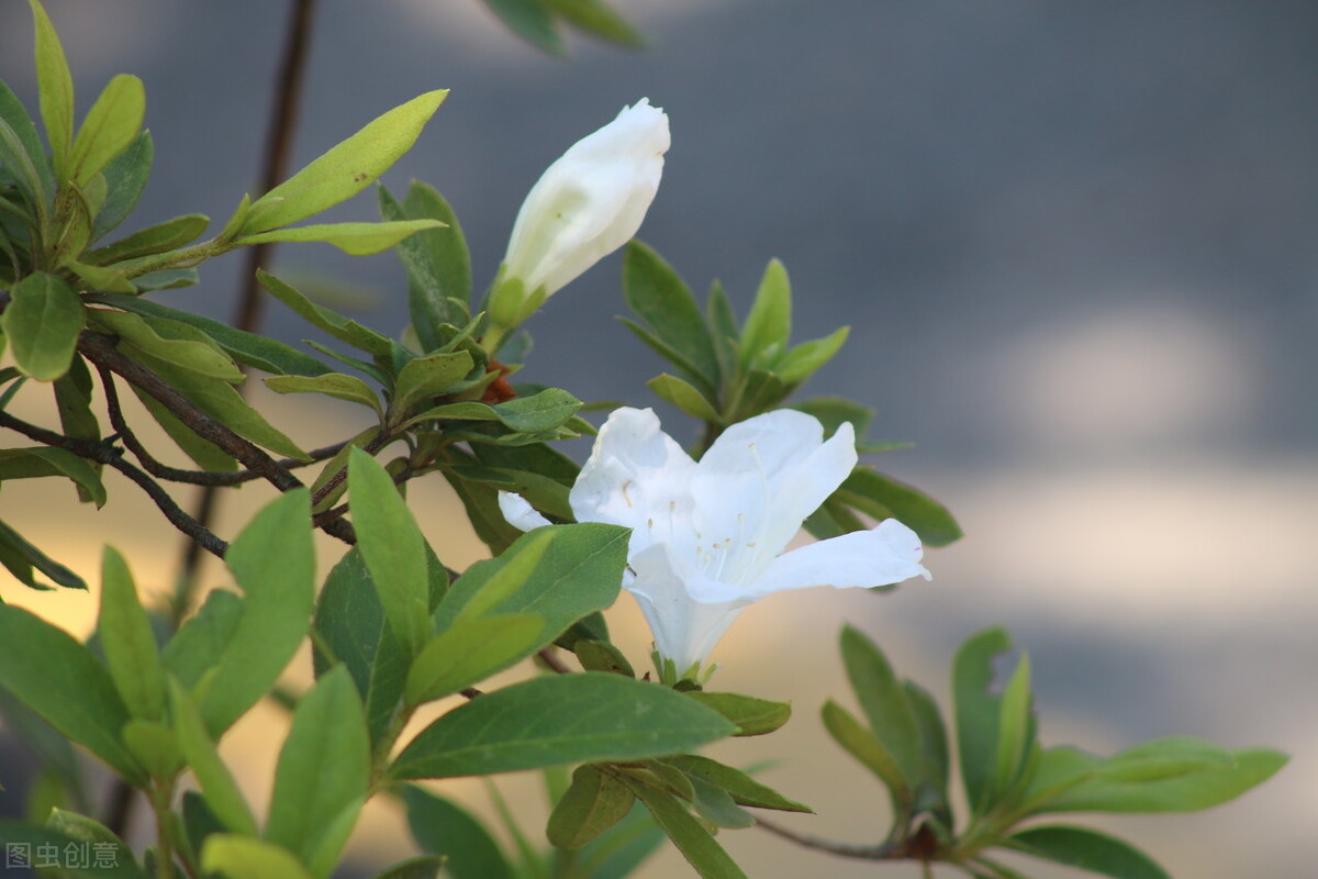 婆婆:当父母的花你们钱怎么了?我:经过我同意吗?凭什么?