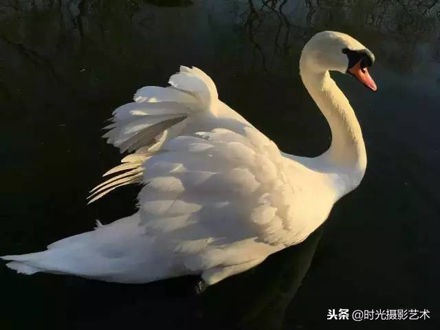 手机摄影创作后期教程,手机摄影的光影技术