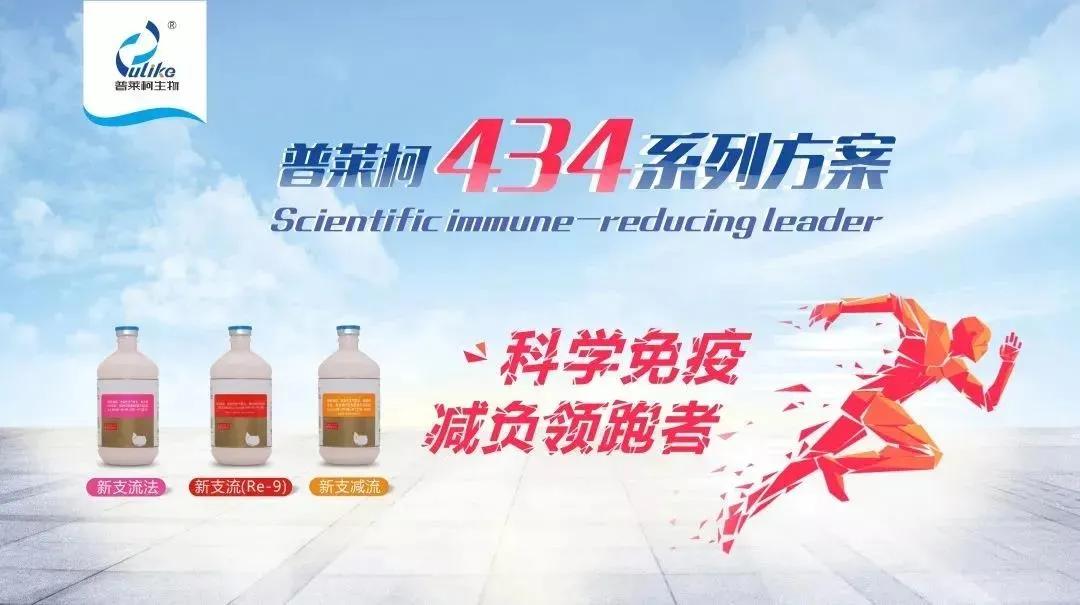 一站式便民利民服务,一站式服务助力企业