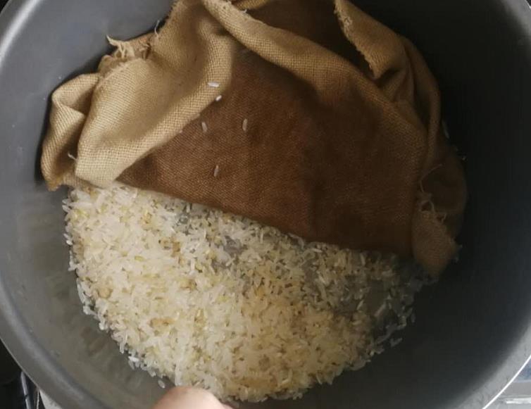 哪款电饭煲煮出来的米饭最好吃,日本哪种电饭煲煮的饭很香