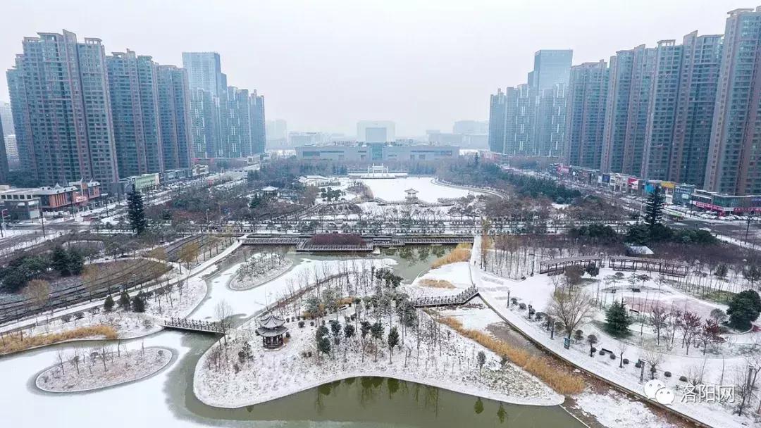 洛阳向全球推介,洛阳向世界发出邀请