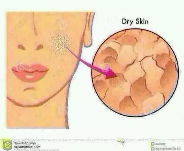 秋冬好用的水乳精华推荐,秋冬大牌保湿水乳推荐