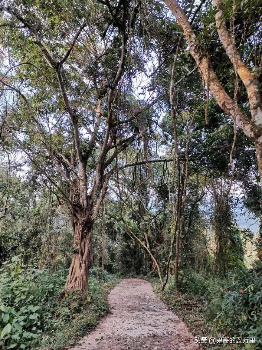 鬼哥的五万里D108骑记:给回族商人点赞(曼腊乡-整董镇)